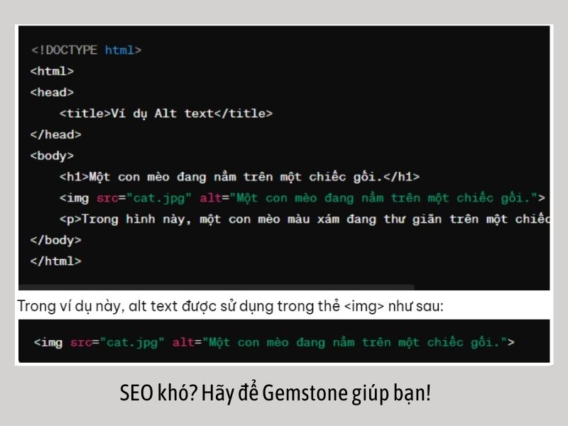 alt text la gi_vi du minh hoa