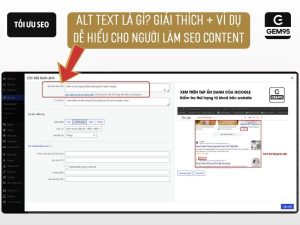 the alt trong seo content la gi vi du chi tiet