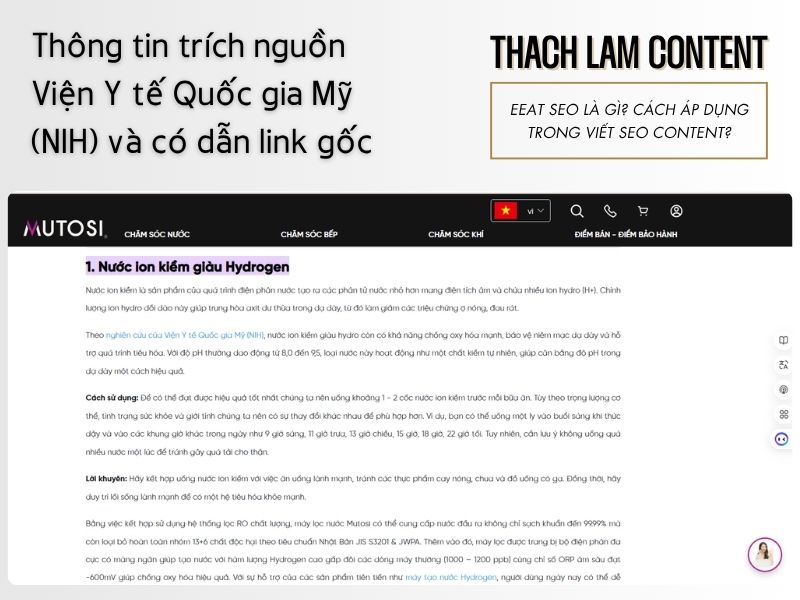 case-study-thiet-bi-gia-dung-dam-bao-eeat-seo (1)