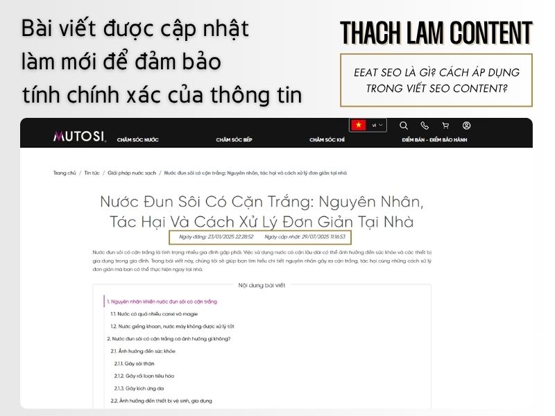 case-study-thiet-bi-gia-dung-dam-bao-eeat-seo (4)
