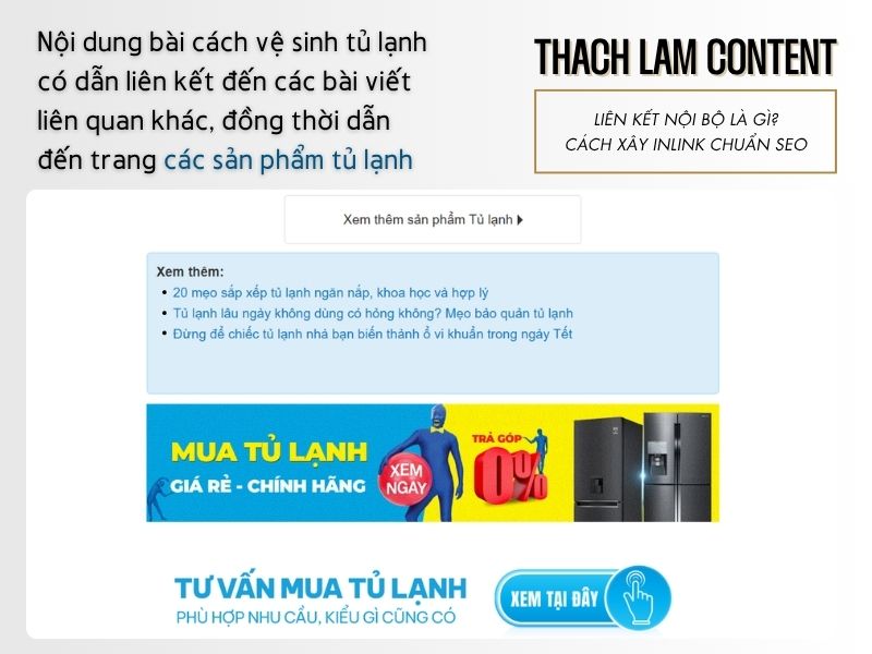 case-di-lien-ket-noi-bo-nganh-gia-dung-dien-may-xanh (1)