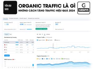 Organic Traffic là gì
