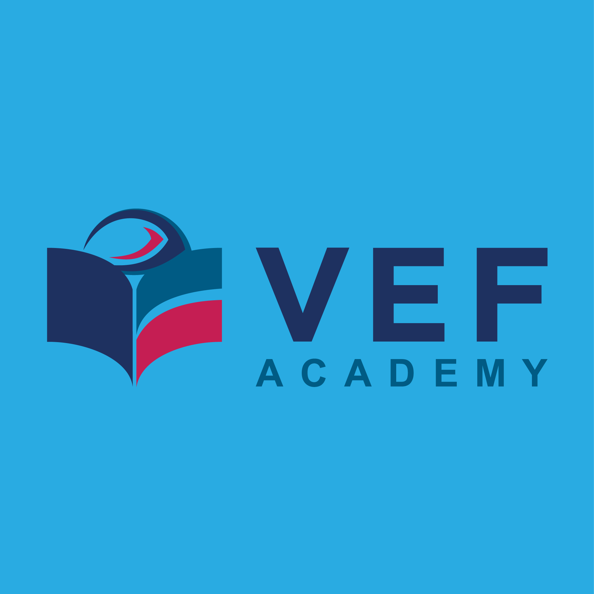 Logo VEFA Academy